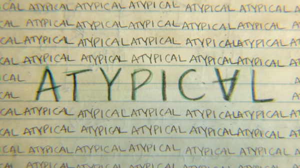 [Especial Atypical]: Resumen primera temporada